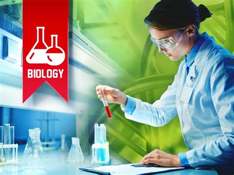 What can you do with biology degree. Things To Know About What can you do with biology degree. 